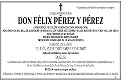Félix Pérez y Pérez